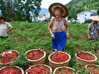 百年梦圆照此心——以习近平同志为核心的党中央引领全面建成小康社会纪实