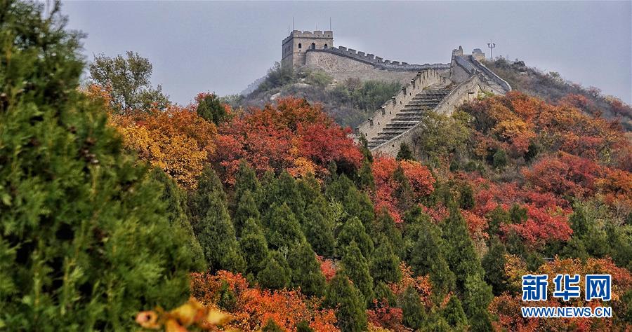 霜叶染红北京八达岭