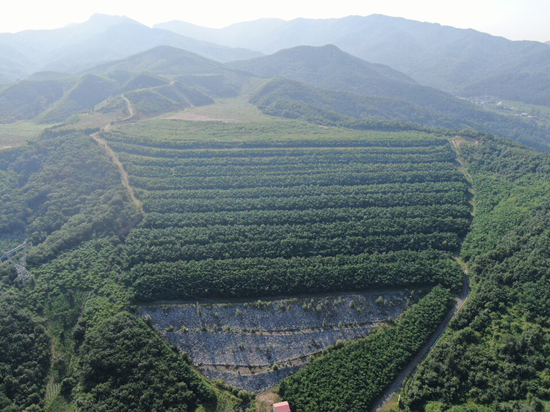 加快推进绿色矿山建设 辽宁构建绿色矿业发展新格局_fororder_图片11