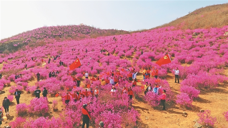 龙江县：实现精彩五连跳 县域经济快发展