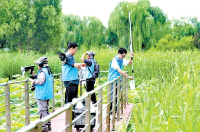 经开区摸底生物多样性