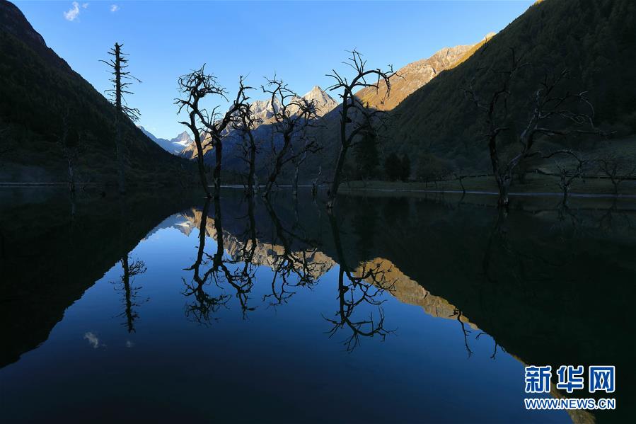 四姑娘山秋色浓