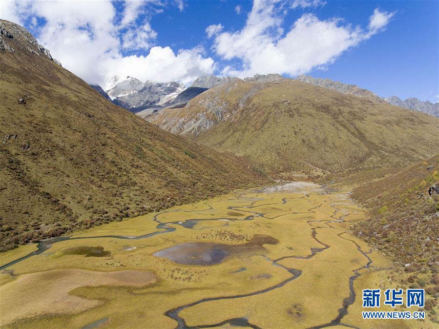 四姑娘山秋色浓