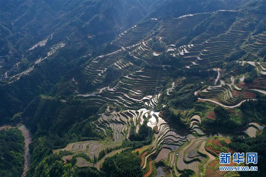 广西融水：苗山梯田