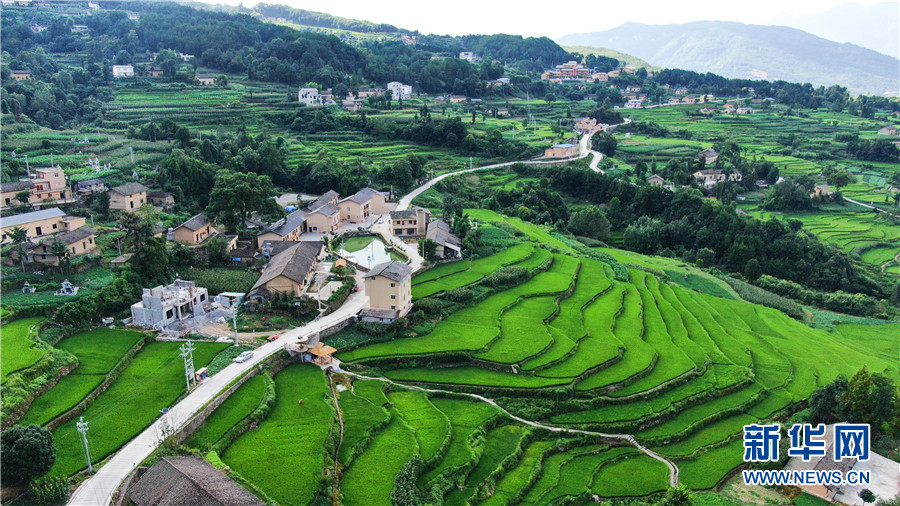 夏日牛洞坪：层层梯田 如画村庄