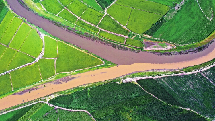 白城旅游：约会湿地 呼吸自然