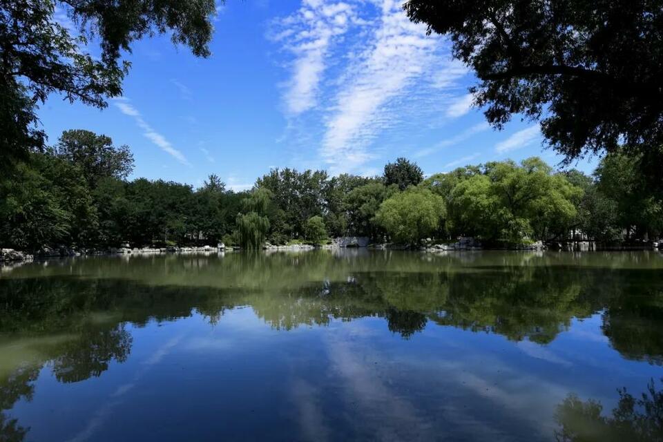 【教育频道+国际教育+名校来了】北京潞河国际教育学园教学副校长高长红：相信多元智能理论 因材施教