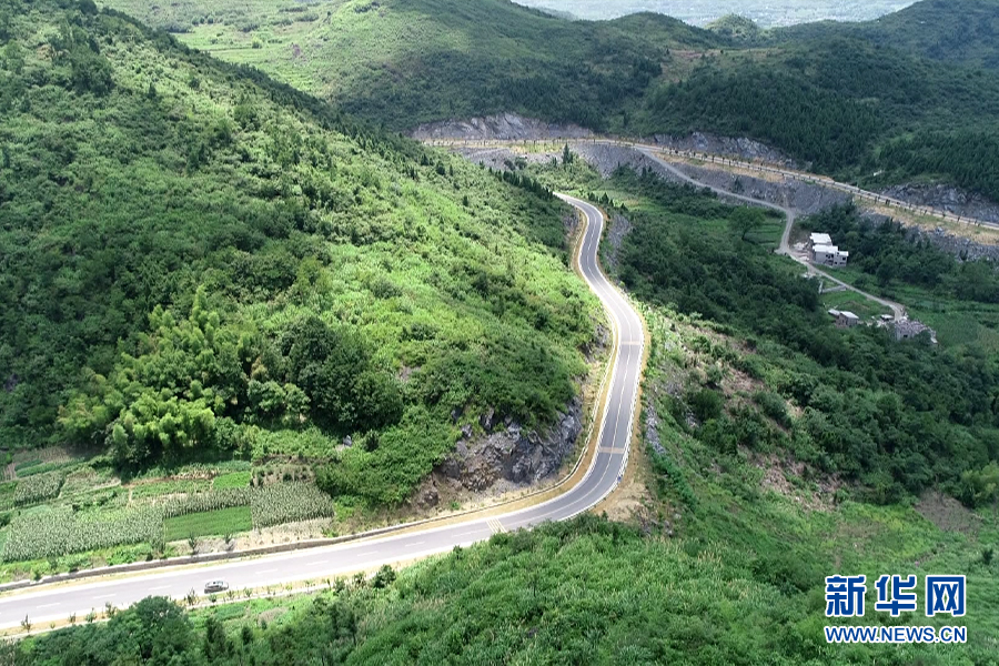 走进乡村看小康｜富硒资源让荒山由“空”变“满”