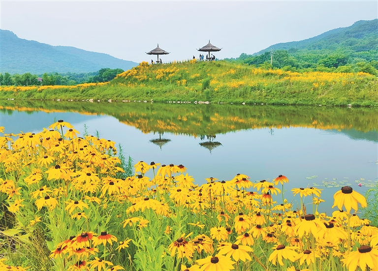 帽儿山花海迎客来