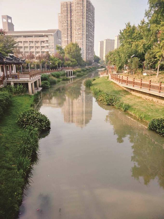 江苏全省河湖“两违三乱”专项整治维护河湖健康生命