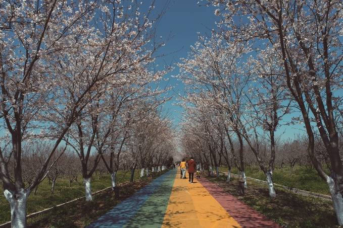 江苏：全面建设新时代美丽田园乡村