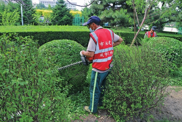 吉林省白城市：让城市更美好