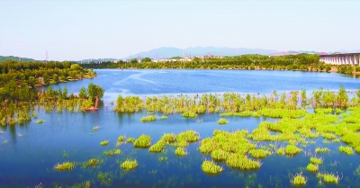 密云水库下游现水绿相融美景