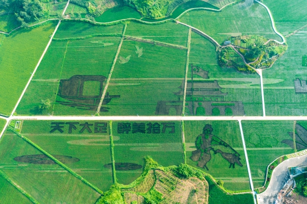 【原创】国家杂交水稻工程技术研究中心重庆分中心在大足揭牌_fororder_1