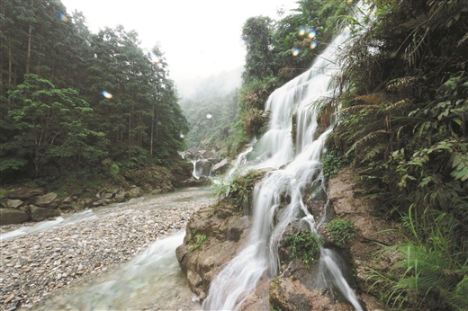 走进大苗山