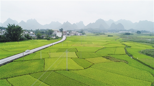 为贫困地区铺就“致富路”