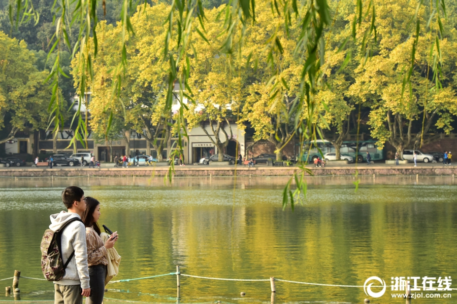 杭州：天气连晴 秋色渐浓