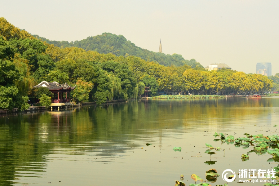 杭州：天气连晴 秋色渐浓