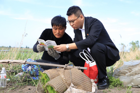 肇东市农村信用合作联社：深耕“三农”沃土 助力乡村振兴_fororder_图片3