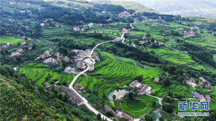 夏日牛洞坪：层层梯田 如画村庄