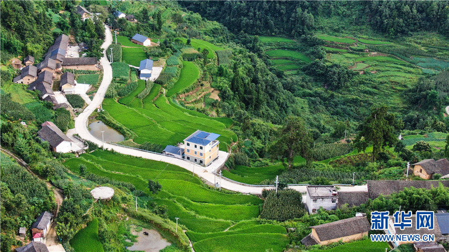 夏日牛洞坪：层层梯田 如画村庄