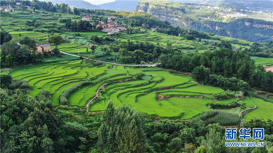 夏日牛洞坪：层层梯田 如画村庄