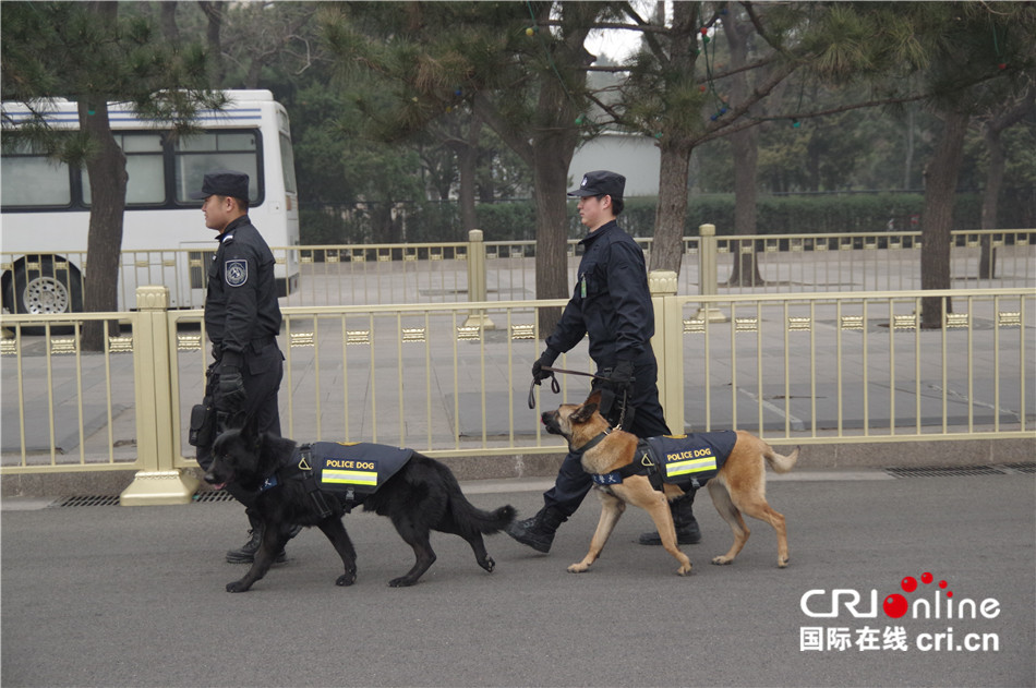 图片默认标题