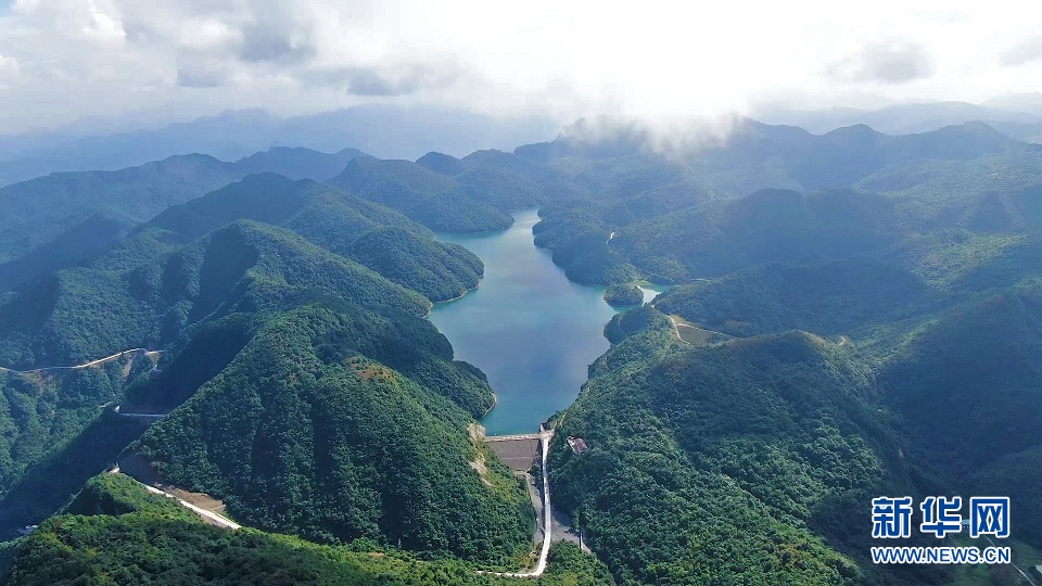 大山深处的“绿色水库”