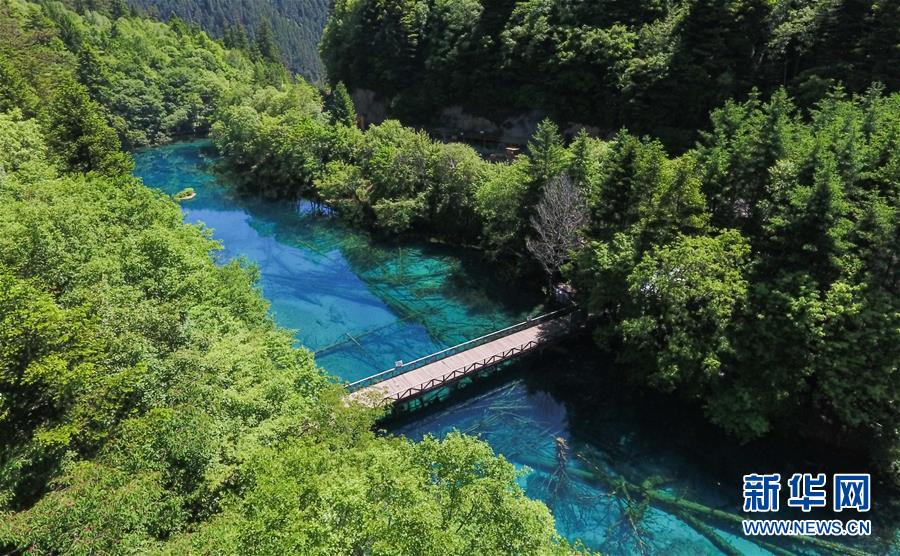 九寨沟夏日美