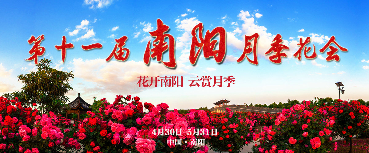 第十一届南阳月季花会-国际在线_fororder_banner