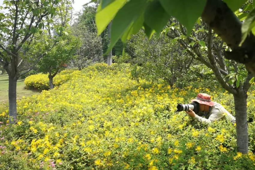 （供稿 河西CBD专题 河西CBD动态首页图 三吴大地南京 移动版）摄影大咖云集南京河西 共同记录“最美城市客厅”（列表页标题）摄影大咖记录南京“最美城市客厅”