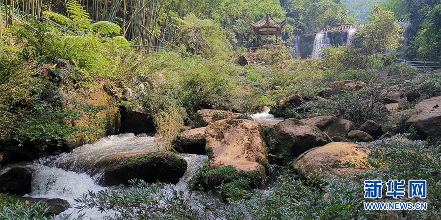 贵州赤水：千瀑美景引客来