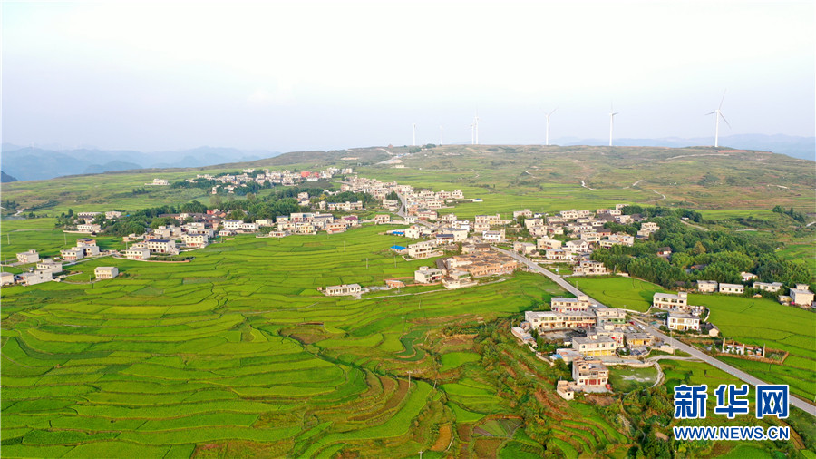 航拍贵州花溪高坡美丽田园