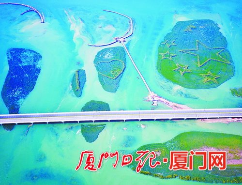 【要闻】【厦门】【移动版】【滚动新闻】【Chinanews带图】厦门深化海洋生态文明建设 加速迈向海洋强市