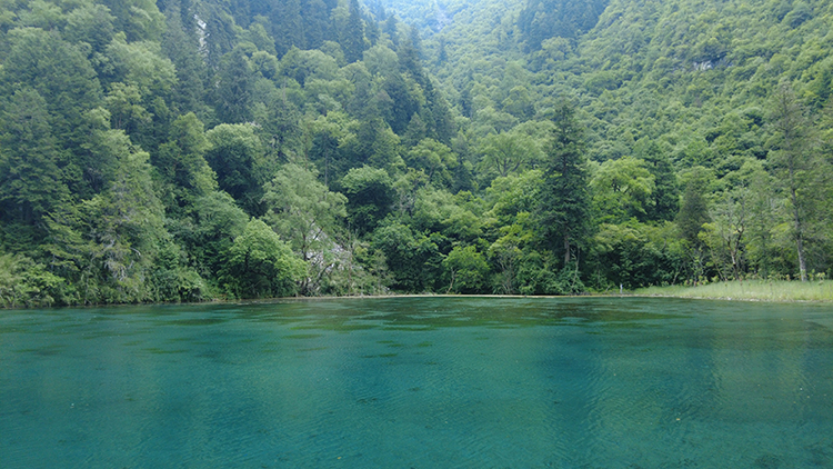 “天府旅游名县巡礼”走进阿坝州理县_fororder_夏日毕棚沟-摄影-廖宇