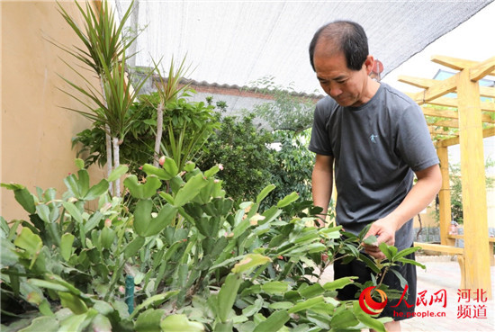 保定顺平：“美丽庭院+”助力乡村振兴