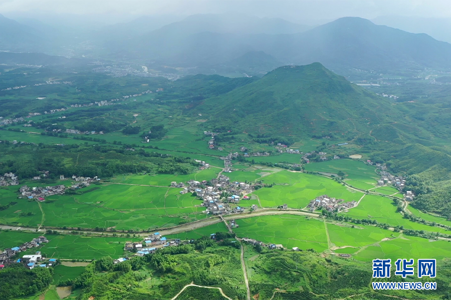 走进乡村看小康｜富硒资源让荒山由“空”变“满”