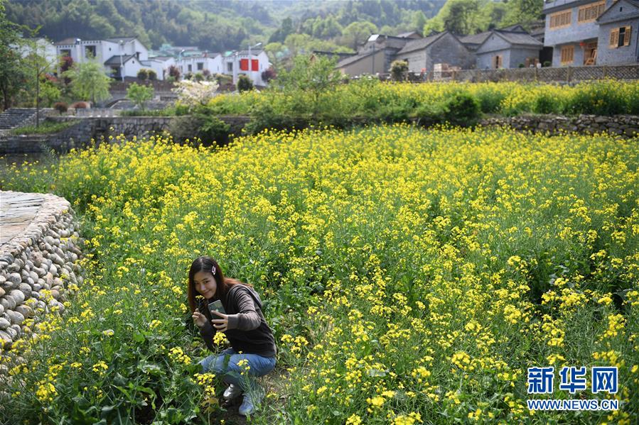 红土地上的“绿色减贫”决战——大别山“将军县”金寨脱贫纪实