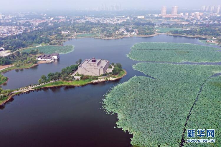 河北河间：建设城市游园 促进生态发展