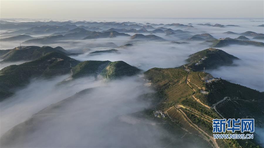 退耕还林二十年 黄土高坡现仙境