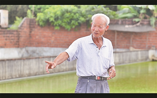 黄沙鳖成为广西桂平市一张亮丽名片