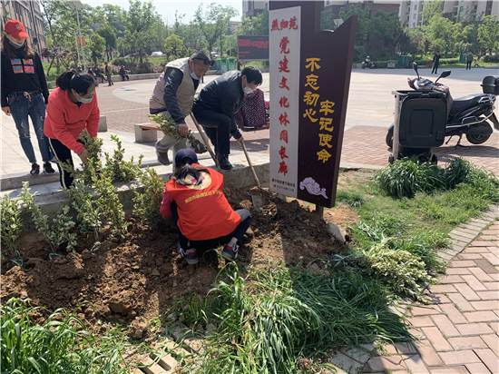 【OK】（供稿 社会广角列表 三吴大地南京 移动版）南京燕子矶街道下庙社区居民齐动手 装点生活家园（列表页标题）南京燕子矶街道下庙社区居民动手装点生活家园