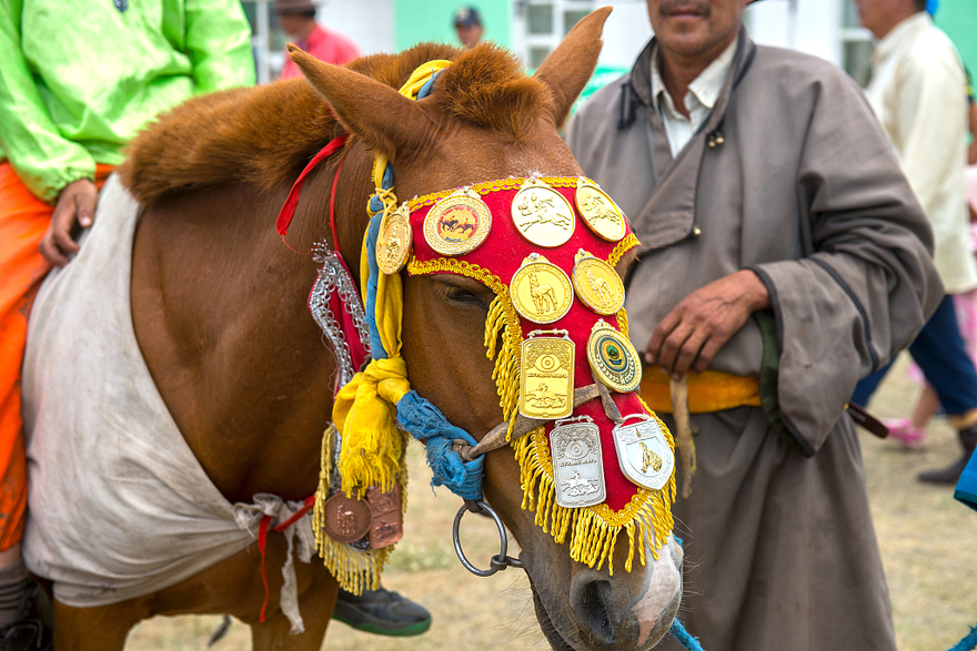 Plants & Nations: Mongolia