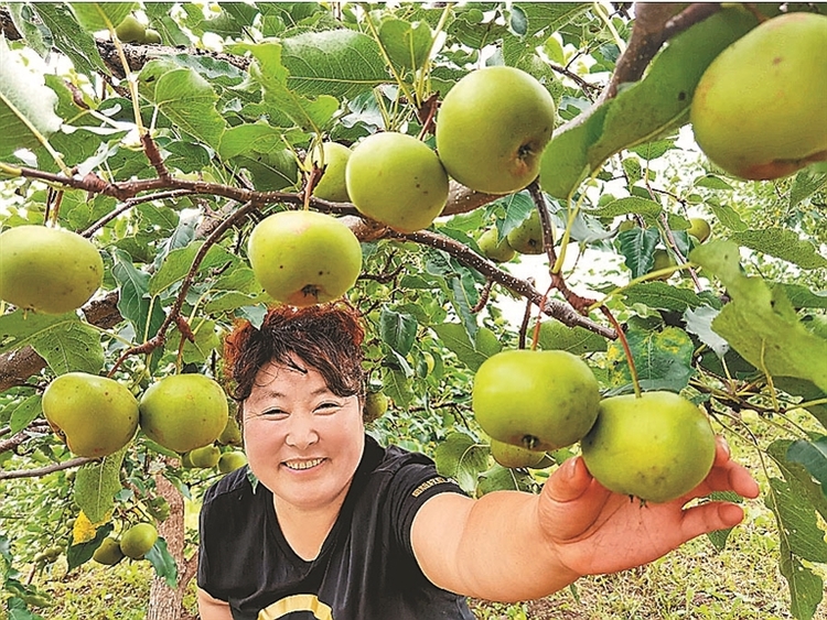 东宁：塞北江南 口岸名城