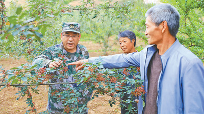 甘肃省张掖军分区副司令员张洪峰—— 向险而行，敢与困难“拼刺刀”（最美新时代革命军人）