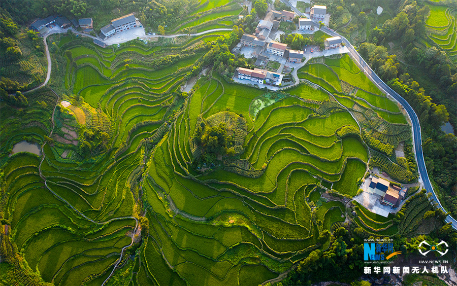 【“飞阅”中国】航拍重庆盐井梯田 俯瞰夏日田园美景