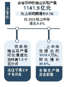 上半年黑龙江省农业发展增速居东北三省首位