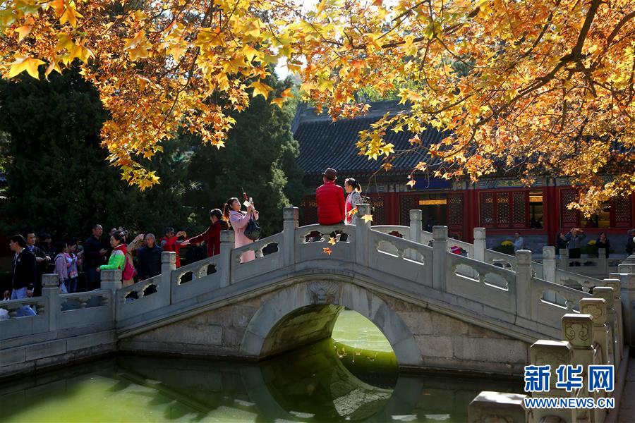 京城秋景