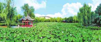 南阳：生态宜居家园美 不负夏日好时光