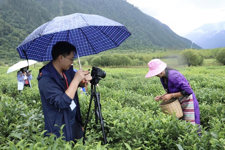 【石榴花开 籽籽同心】西藏林芝：民族团结之花盛开在雪域高原